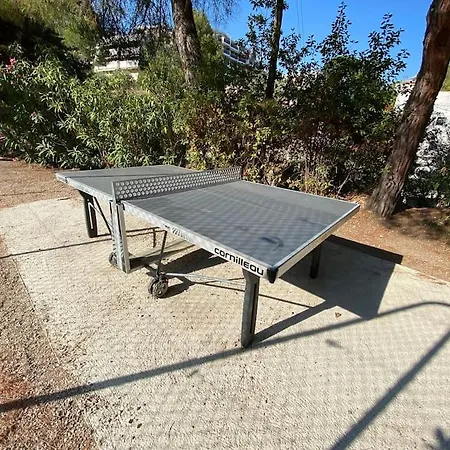 Superbe De 3p Pieces Dans Avec Piscine Et Climatisation 公寓 尼斯